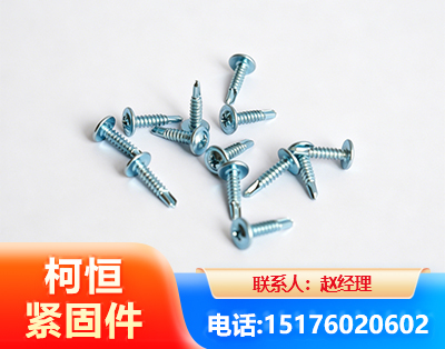 资阳华司钻尾丝