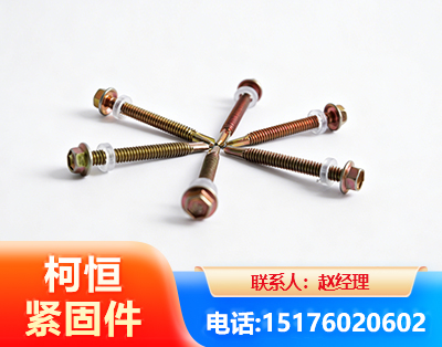资阳六角钻尾丝