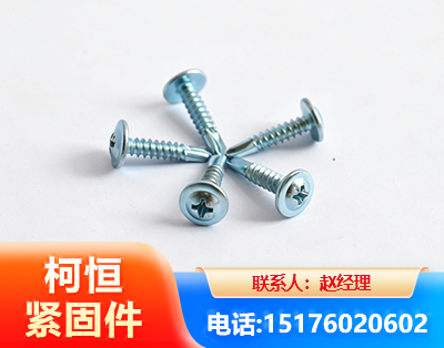 资阳华司钻尾丝