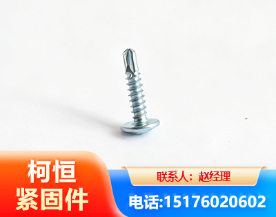 资阳华司钻尾丝